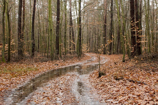 대전 숲길 혼자 여행지 추천