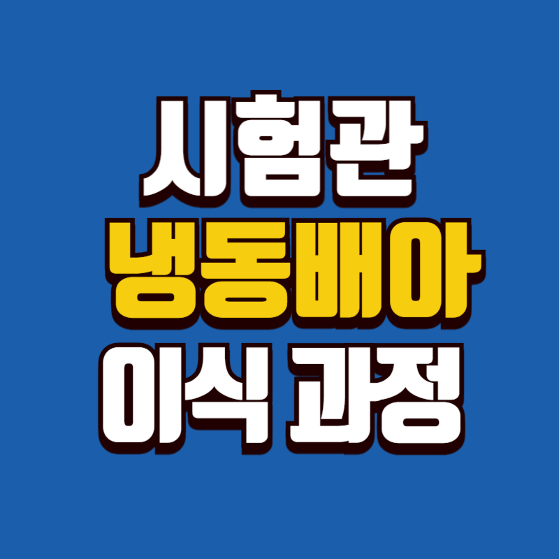 시험관 냉동배아 이식 과정