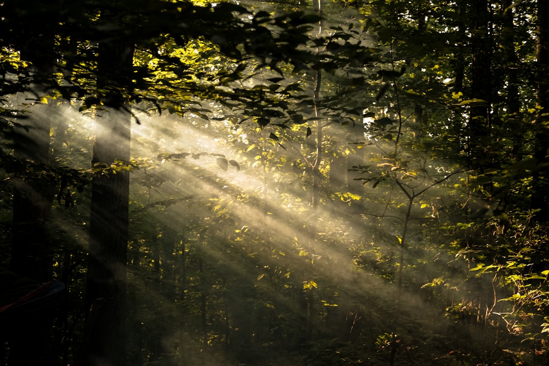 자외선 차단 안 하면 생기는 문제: 피부 건강을 지키는 필수 조건 관련 이미지 2