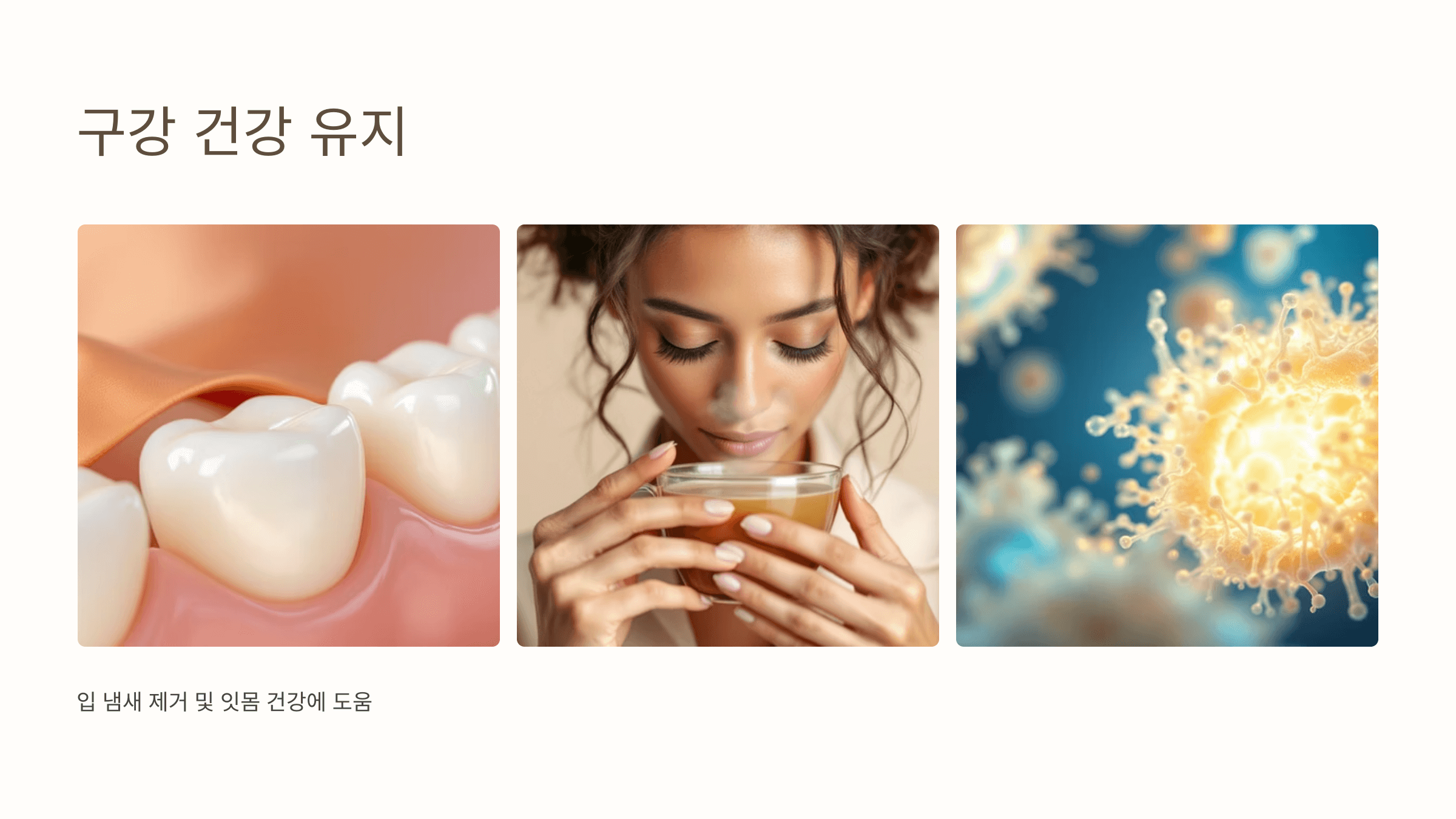 보리차 사진입니다.