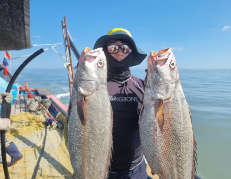 전남 신안 민어 주문 방법