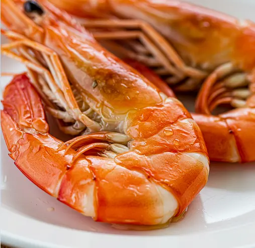 대하-1kg-몇-마리