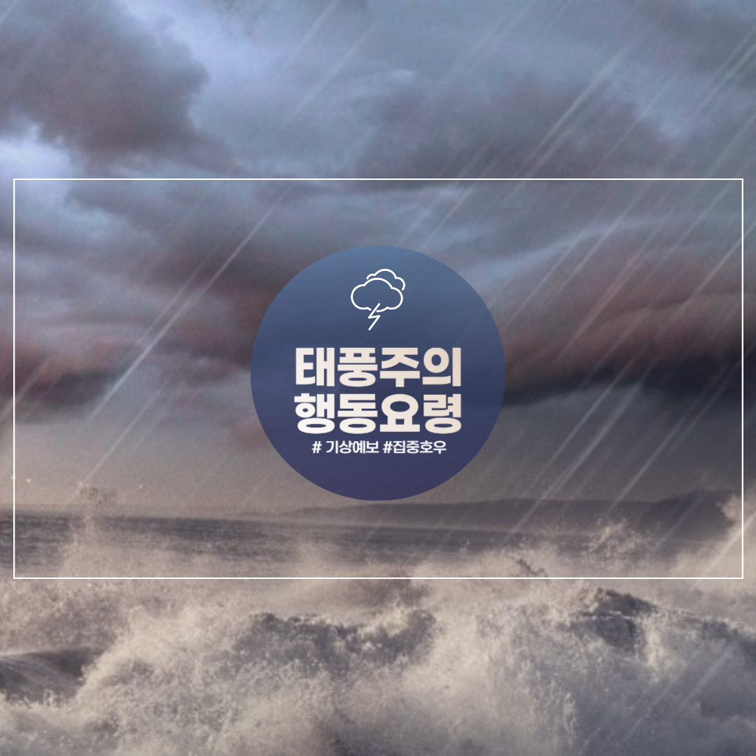 태풍 예보 기상 기후 확인