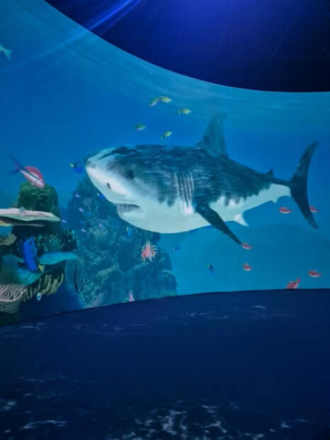 부산 아이랑 가볼만 한 곳