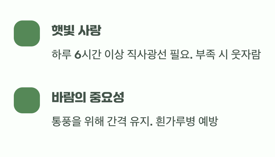 최고의 보약, 햇살과 바람