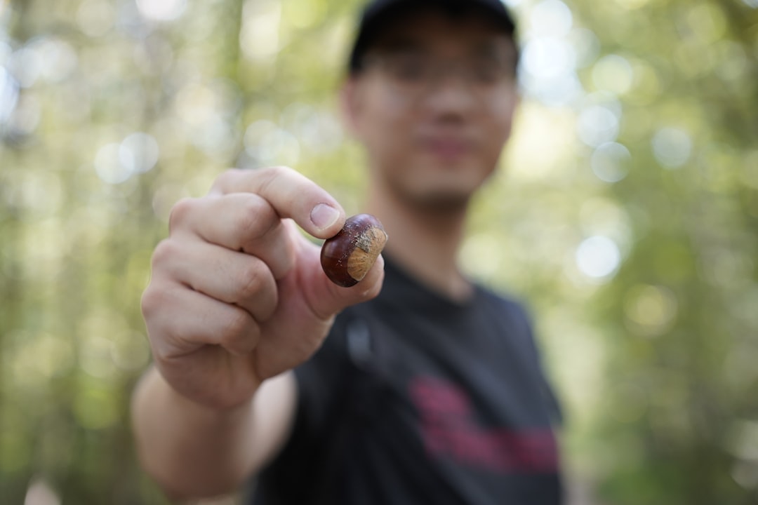 Chestnut.