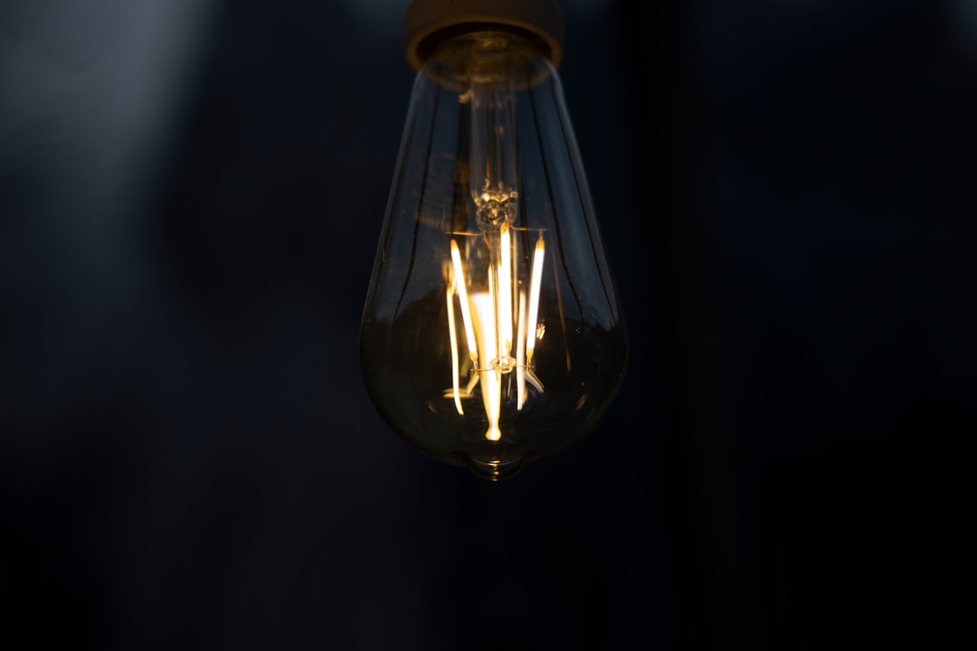 '로이코비'에서 가장 중요한 명사는 innovation입니다.