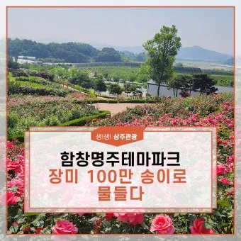 상주 가볼만한곳 맛집 추천 카페 겨울 베스트 10_25