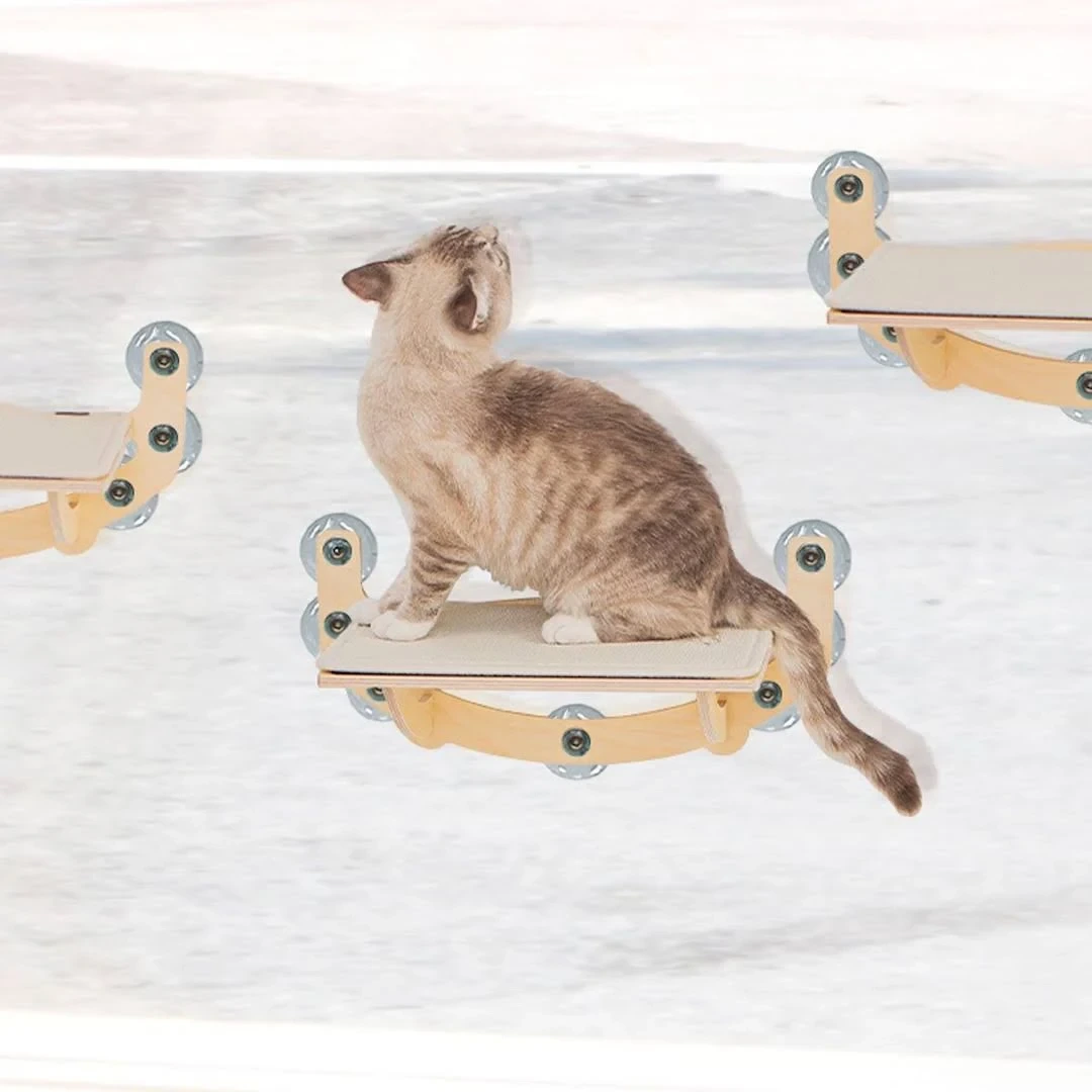 캣타워 추천 TOP 5_윈도우 캣타워 캣워크GO20100