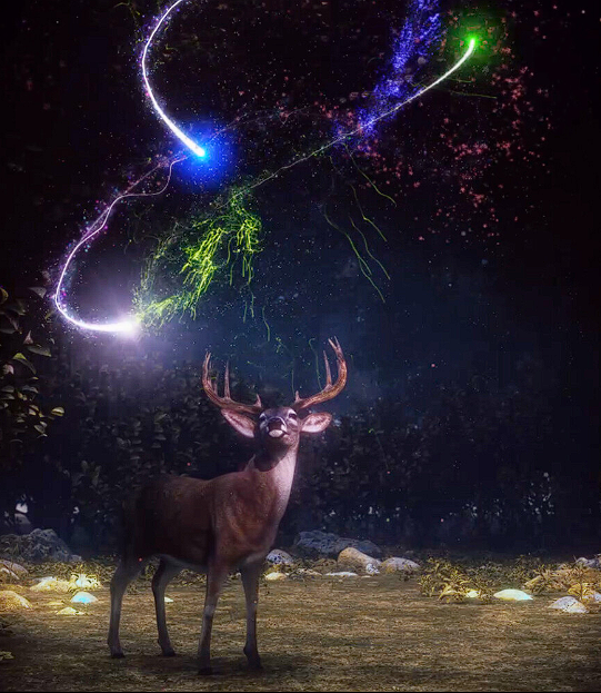 제주 민속촌 벨섬 입장료 할인