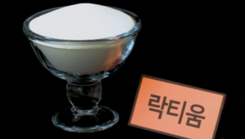 락티움