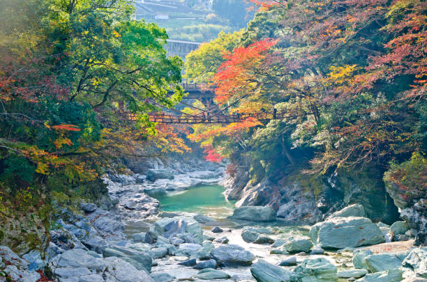 계곡