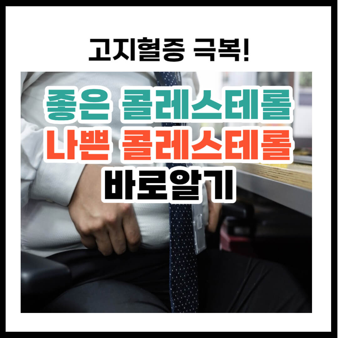 고지혈증