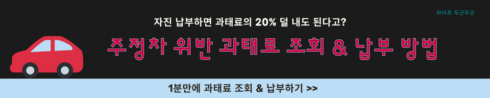 주정차 위반 과태료 조회 납부 방법 안내면 이의신청