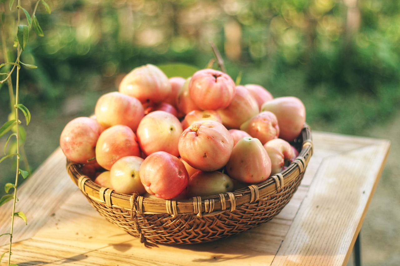 장터 나갈 준비로 바구니를 손보던 저녁