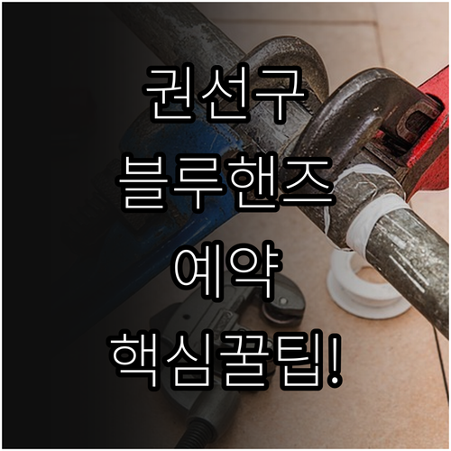 마이현대 앱 활용한 권선구 블루핸즈 ..