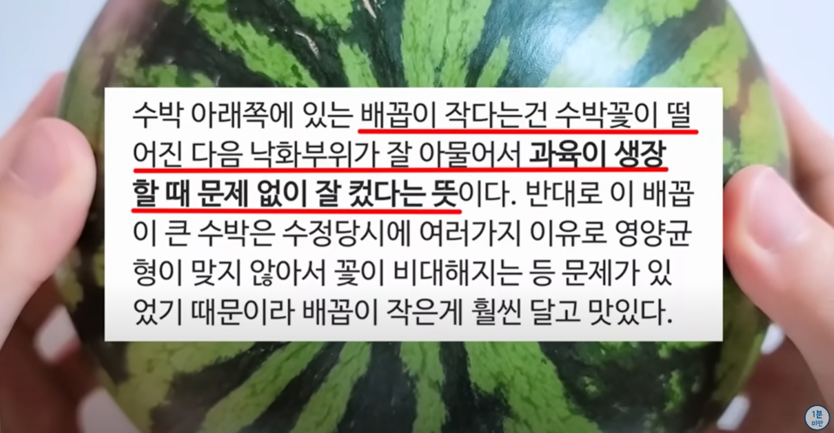 수정이 잘 된 수박