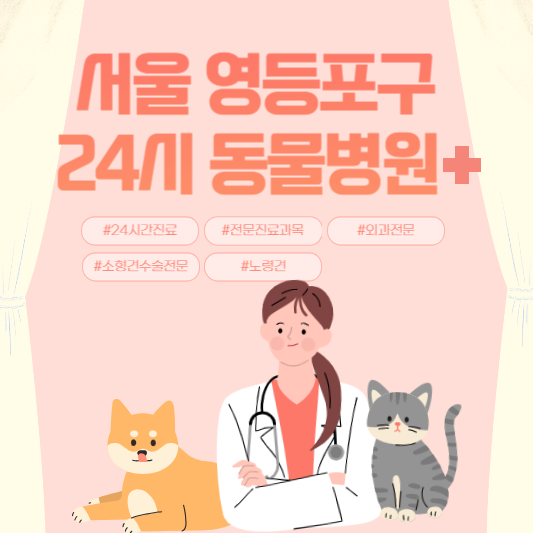 서울 영등포구 24시 동물병원