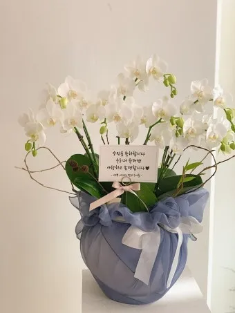 환갑 축하문구 예시 35개 정리 및 카드에 쓰기 좋은 문구_18