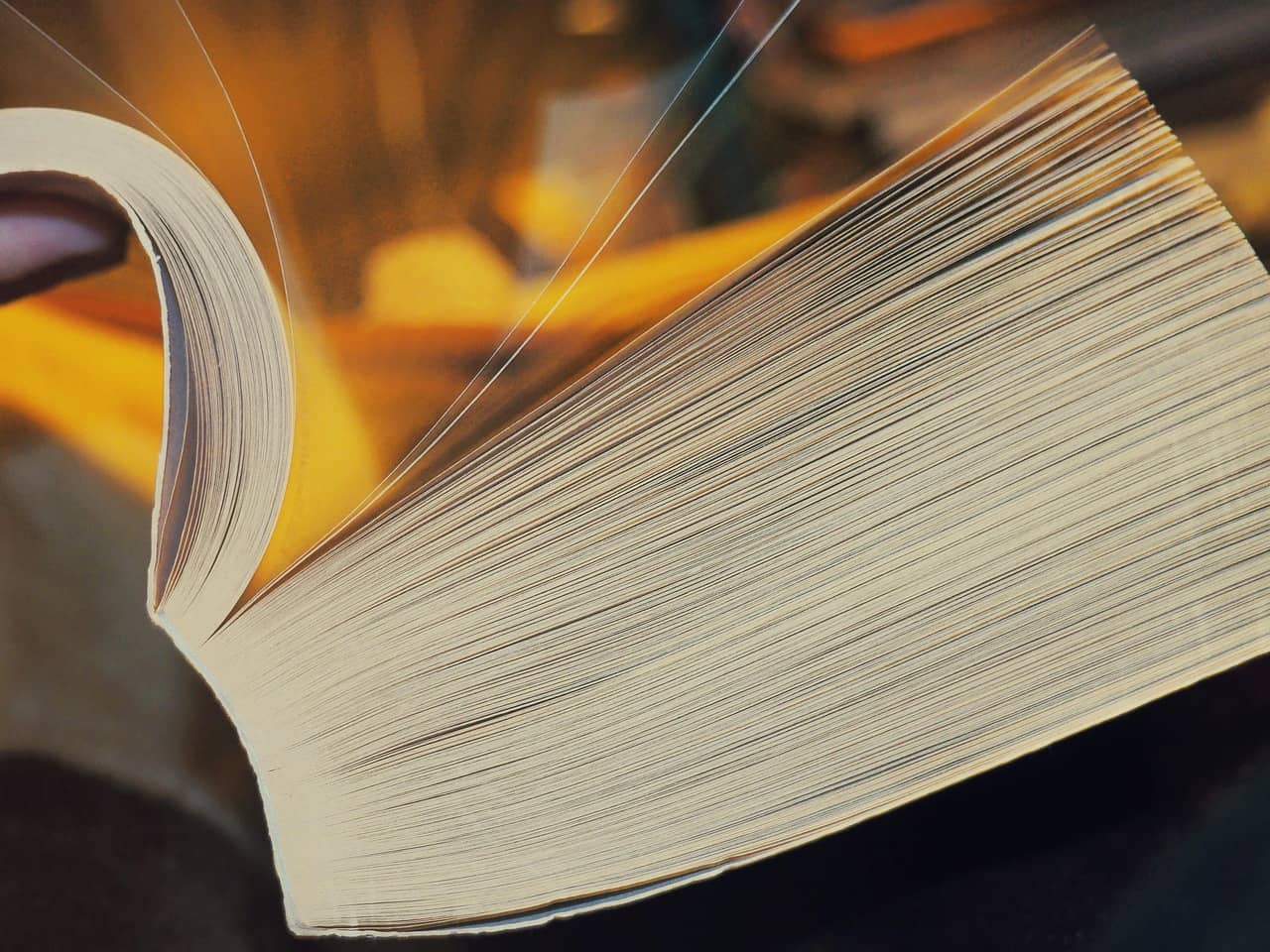 N잡 시작 전 N잡러가 꼭 알아야 할 세금 상식 10가지