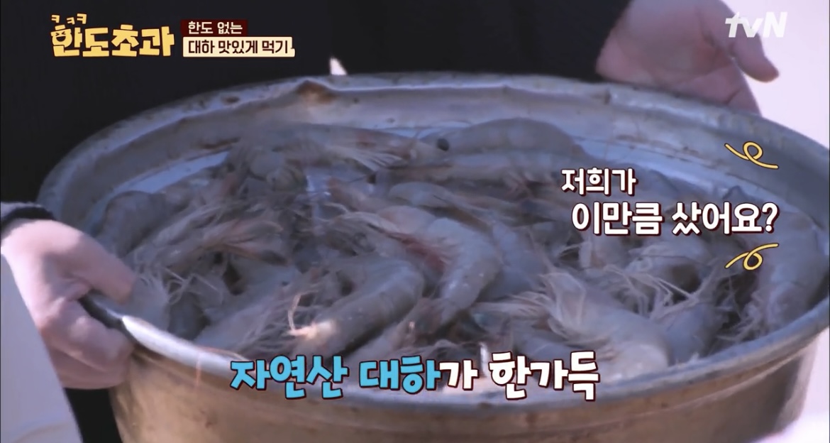 한도초과-생새우-사진