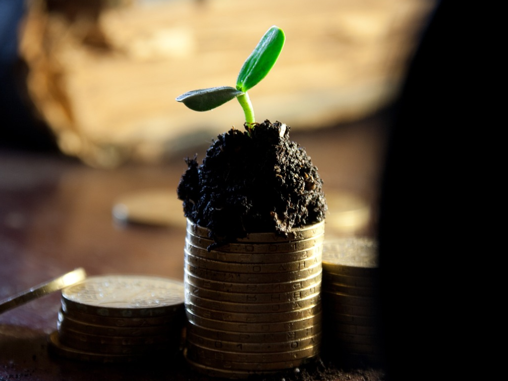 새희망홀씨 대출