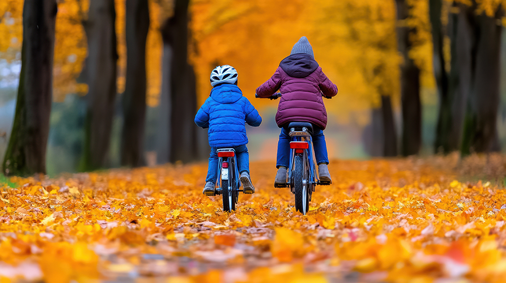 자전거 타는 꿈 해몽