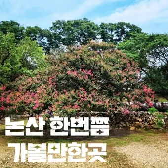 논산 가볼만한곳 카페 맛집 추천 반려견 핫플_22