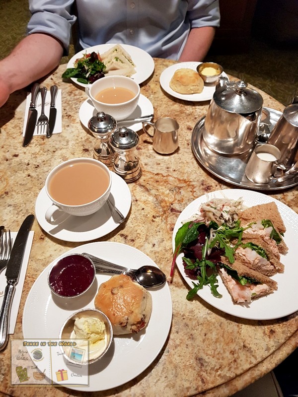 영국 잉글랜드 요크(York) 애프터눈티 찻집: 베티스(Bettys) 메뉴 별도 주문 - Betty Tea Room Blend 홍차&amp;#44; 연어&amp;새우 샌드위치&amp;#44; 건청포도 스콘&amp;#44; 계란&amp;크레스 샌드위치&amp;#44; 치즈 스콘 - Sehee in the World