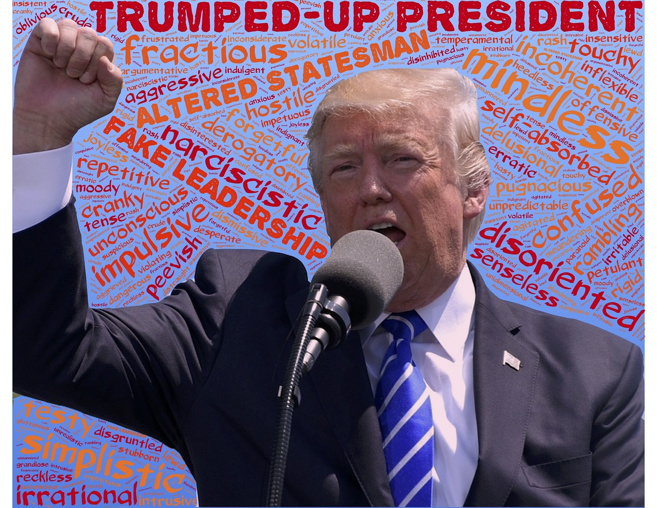 트럼프 연설 사진