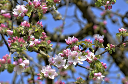 화담숲-예약하기