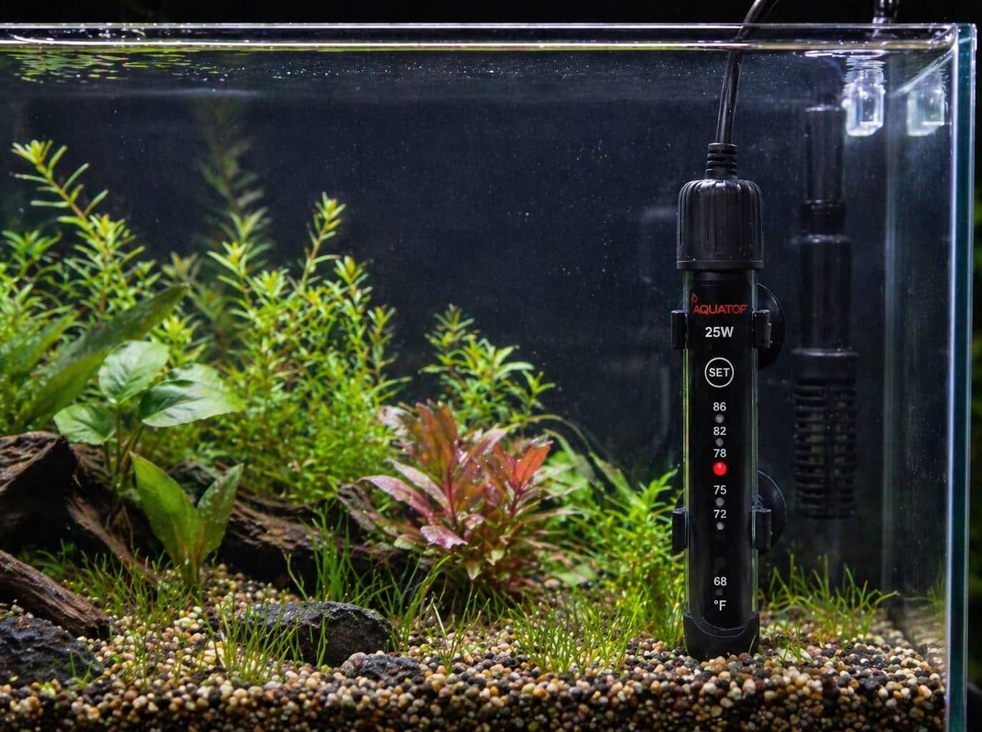 나노 어항 겨울철 온도 출렁임 해결법: 히터 선택, 와트 계산, 온도계 위치까지 한 번에 정리