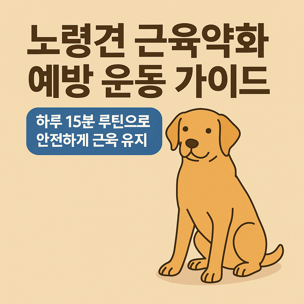노령견 근육약화 예방 운동 가이드(1)