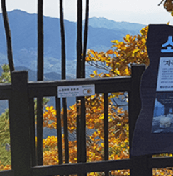 팔공산 케이블카 예약