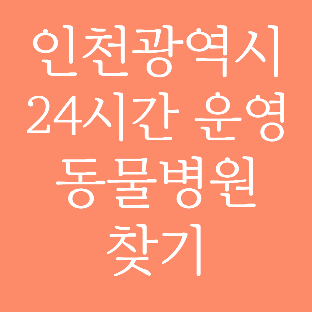 인천광역시 24시간 운영 동물병원 찾기