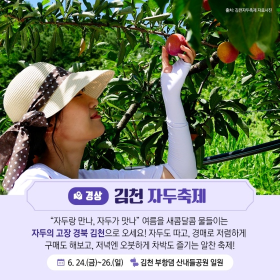 6월 지역 축제, 주말여행 추천 4곳, 김천 자두 축제