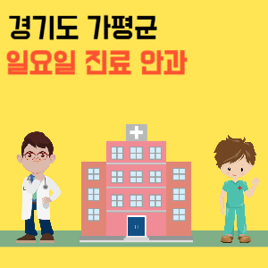 경기도 가평군 일요일 안과 진료 병원 리스트