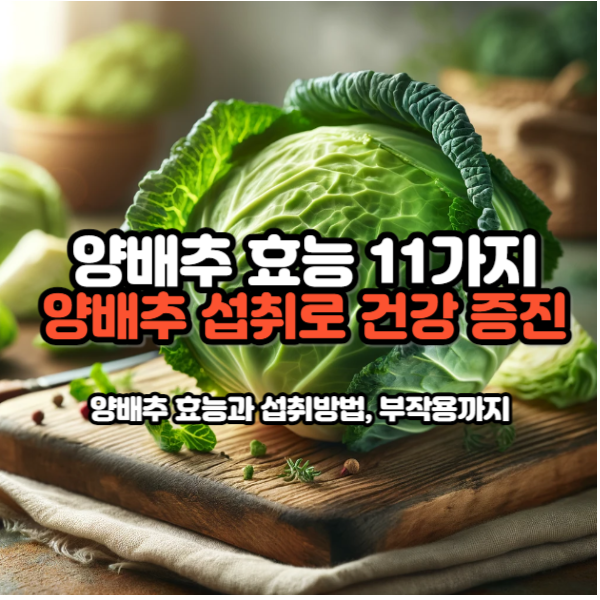 양배추효틍