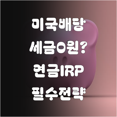 연금저축 IRP 계좌를 통한 미국 배..