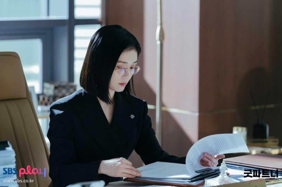 SBS 금토 주말 드라마 굿파트너 등장인물관계도 출연진 줄거리 이혼 소재 정보 원작 시청률