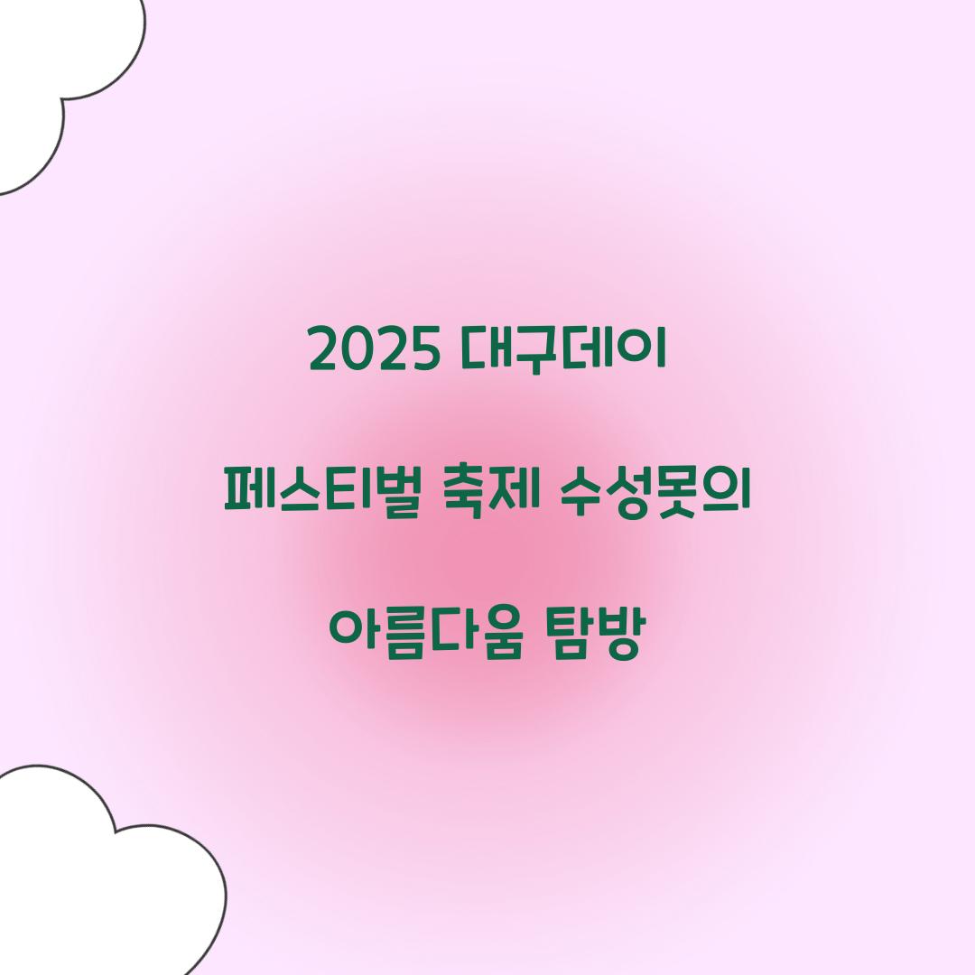 대구데이 페스티벌 축제
