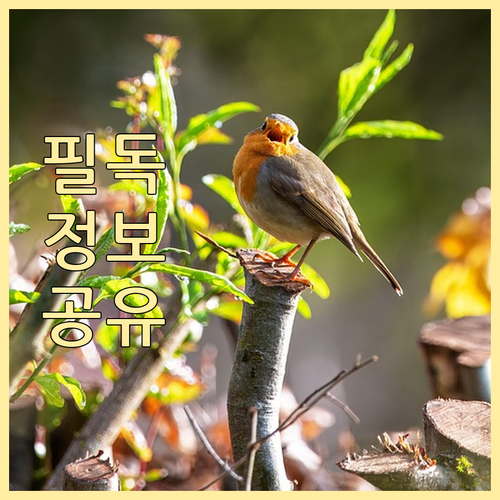 법인상품권 경비 처리 부가세 환급 사..