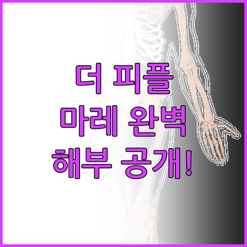 더 피플 파리 마레 완벽 해부! 장점