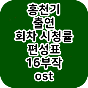 홍천기