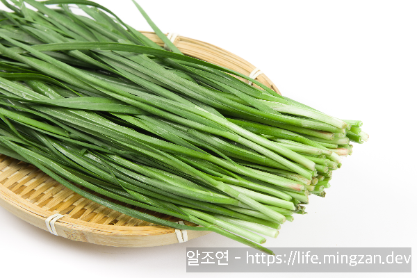 부추가 생리통 완화에도 좋다는데