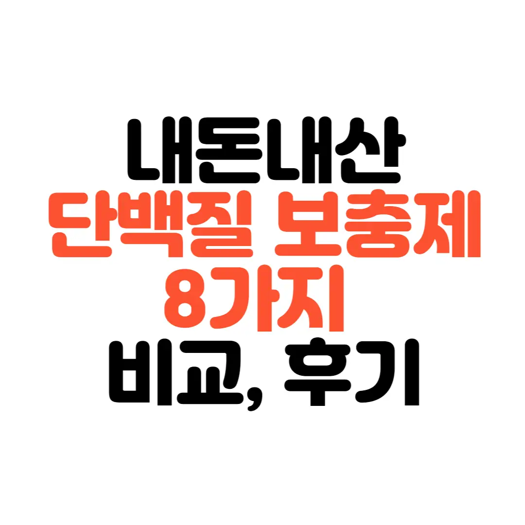 단백질-보충제-후기