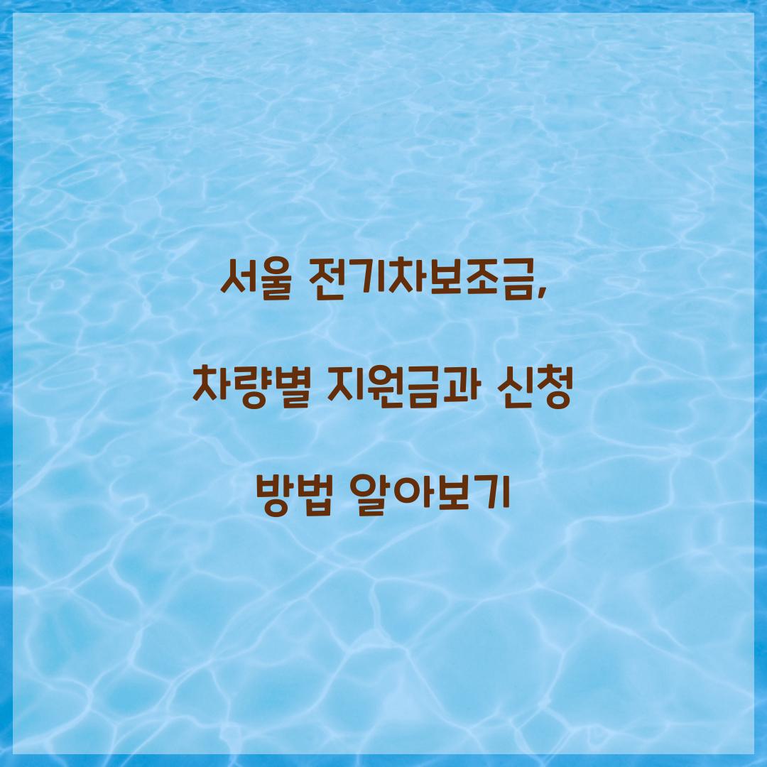 서울 전기차보조금