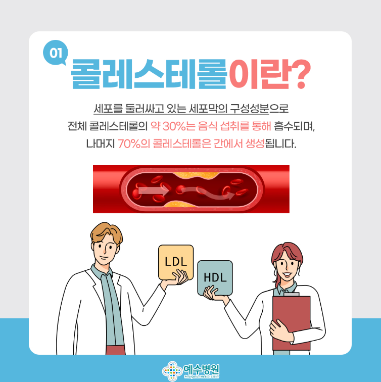 콜레스테롤이란?