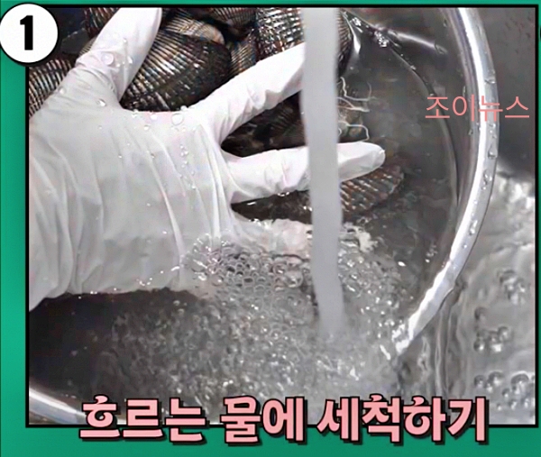 꼬막 세척하기_출처:식품의약품안전처