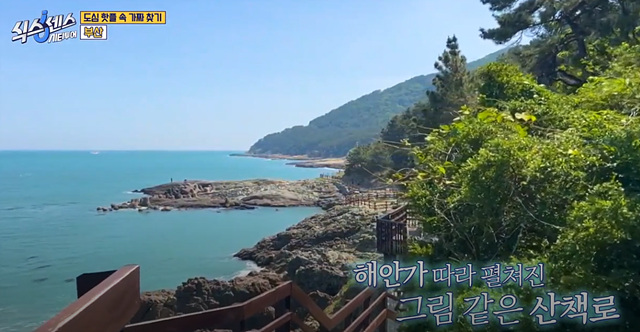 식스센스 시티투어 이순신육개장 대왕식빵 동굴식당 부산 밀락더마켓 금신전선상유십이 옵스 이기대전망대 이중섭거리 용꿈